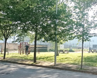 
		Comunicar la cultura de l’arbre
	