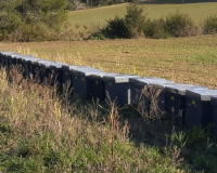 
		Curs bàsic d’apicultura
	