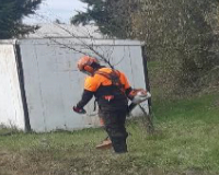 
		Preparació per a la certificació europea de desbrossadora (EBC1)
	