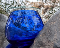 
		Curs bàsic de tast d’olis
	