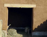 
		Curs bàsic de bioconstrucció agrària
	