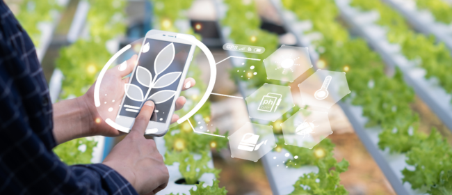 Oberta una nova convocatòria Horizon Europe per a projectes de digitalització i governança de dades agroalimentàries