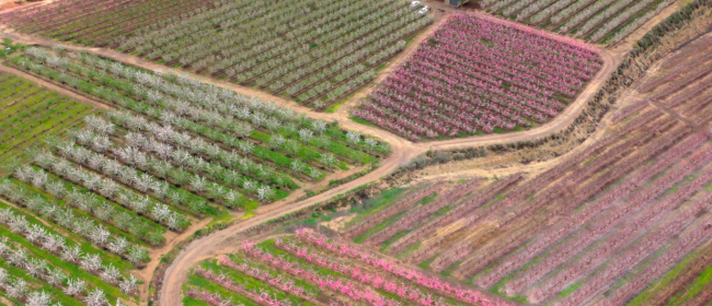 Oberta la convocatòria per projectes que impulsen la competitivitat sostenible a les zones rurals a través d’Horizon Europe 