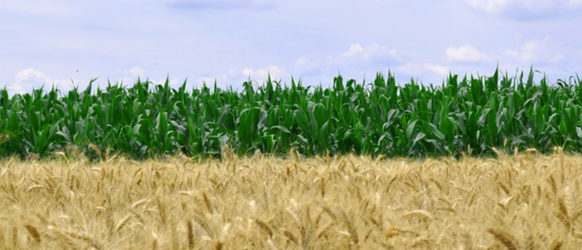 La implicació ciutadana pren protagonsime en un nou projecte europeu contra la contaminació marina per plàstics