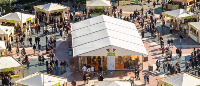 Obertes les inscripcions per a la segona edició del Mercat de l'Oli Nou que incorpora per primer cop la mel catalana