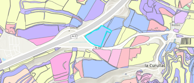 Agricultura publica el mapa de parcel·les i cultius de les explotacions (DUN) 2025