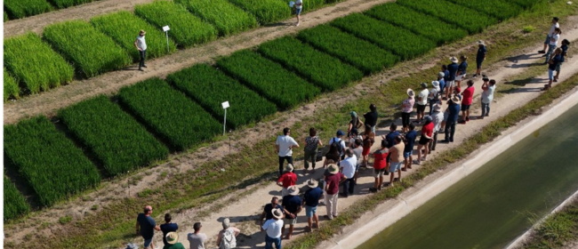 Les Escoles Agràries impulsen més de 400 formacions per capacitar 9.000 professionals del sector agropecuari, alimentari i forestal