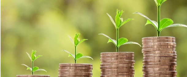 Consulta el valor fertilitzant de les dejeccions ramaderes (preus 2025)