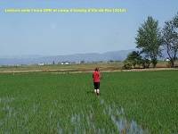 Lectura amb l'eina GPN al camp d'assaig de l'Illa de Rui (2014)