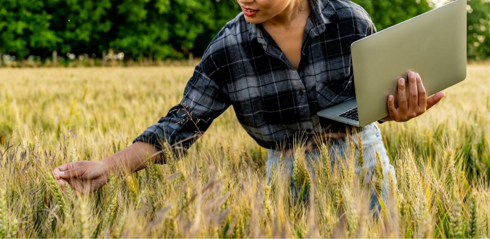Aquestes agrupacions reforcen la prevenció, detecció i resposta davant de noves amenaces, especialment en un context marcat pel canvi climàtic, l’evolució normativa i les exigències del mercat