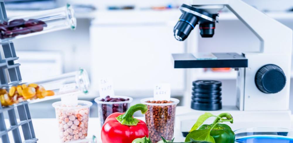 El Laboratori ha marcat 6 reptes estratègics.