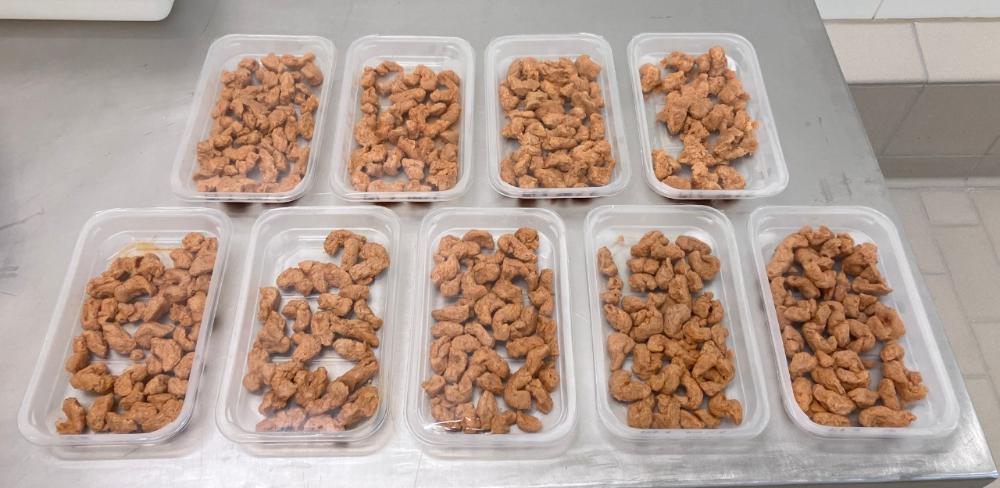 Els resultats obtinguts del projecte han estat positius tant des del punt de vista tècnic com comercial i estratègic