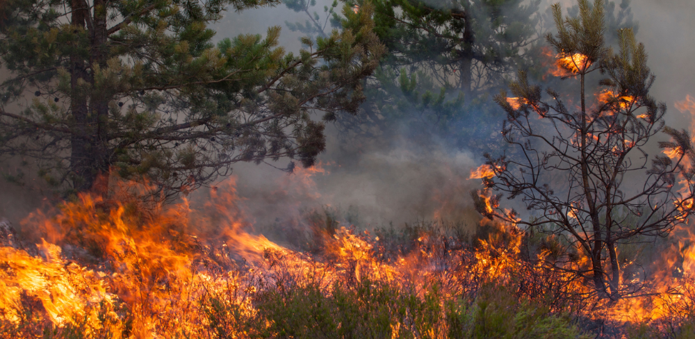 L’episodi està associat a la situació d’onada de calor, amb temperatures extremes i humitats relatives molt baixes