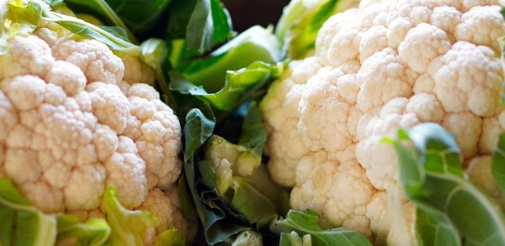 La coliflor és un dels cultius hortícoles afectats aquest mes de desembre, sobretot a causa de les erugues.