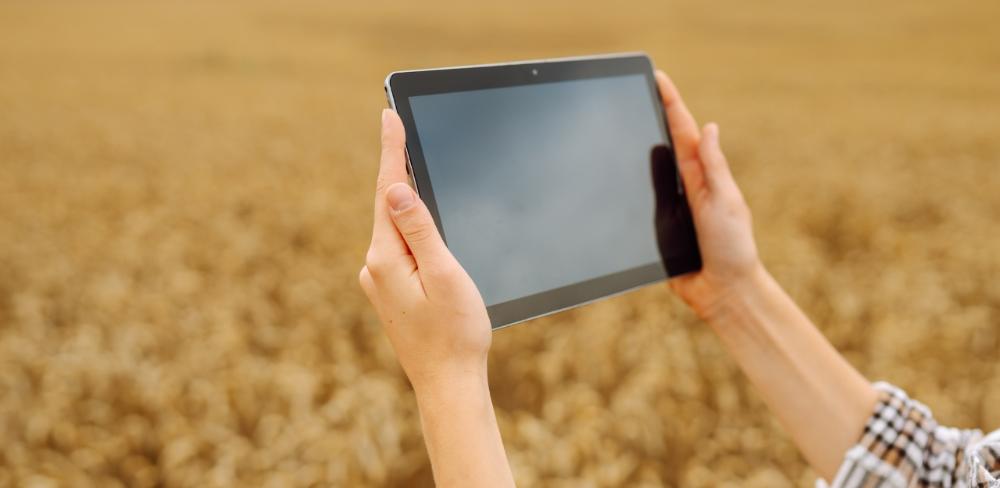 La digitalització al camp forma part del gir cap a un model interactiu d’innovació agrària, on diferents actors comparteixen coneixement per afrontar conjuntament els reptes del sector