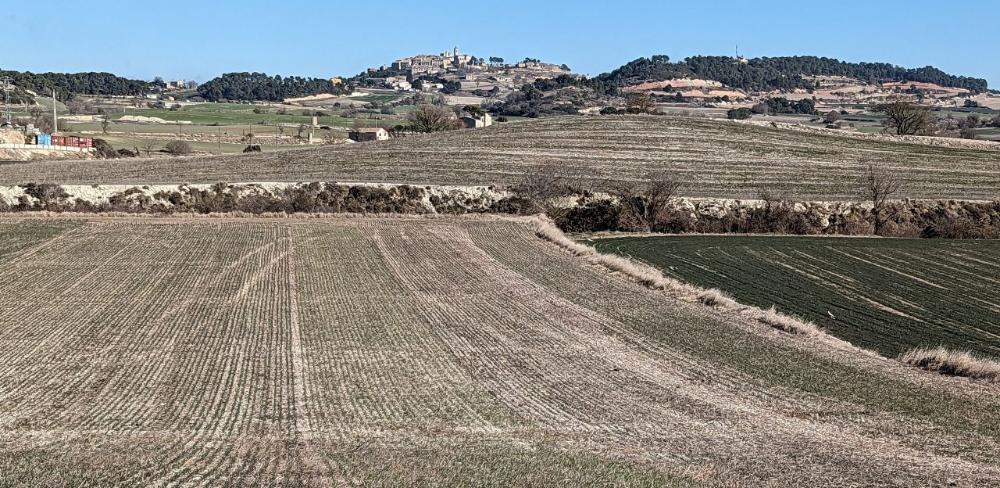 Projecte pilot innovador de Grups Operatius 