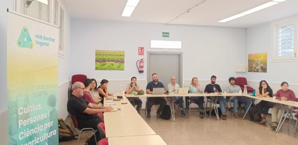 Segona reunió dels grups d’assessors d’horta del Hub de Sanitat Vegetal a l’IRTA Cabrils.