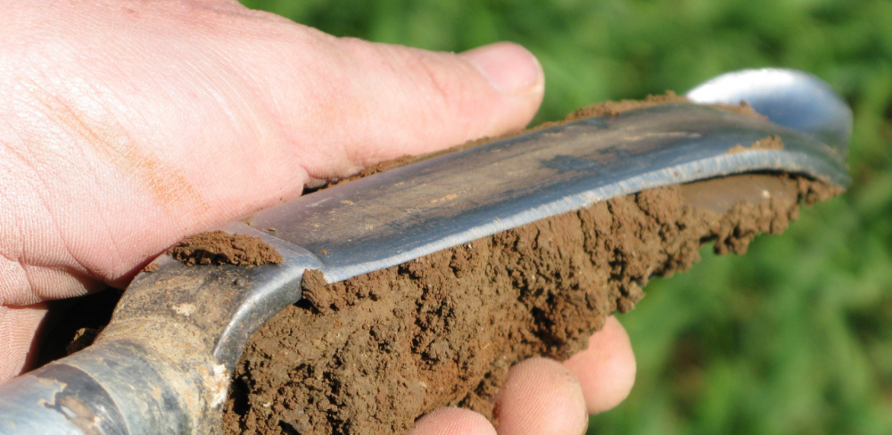 El coneixement de la composició i les funcions del sòl és la base per planificar correctament la fertilització de les explotacions agràries