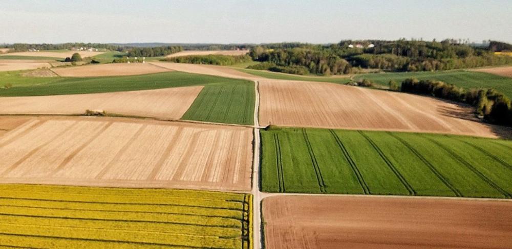 S’observa que en totes les comarques hi ha indústries agroalimentàries.