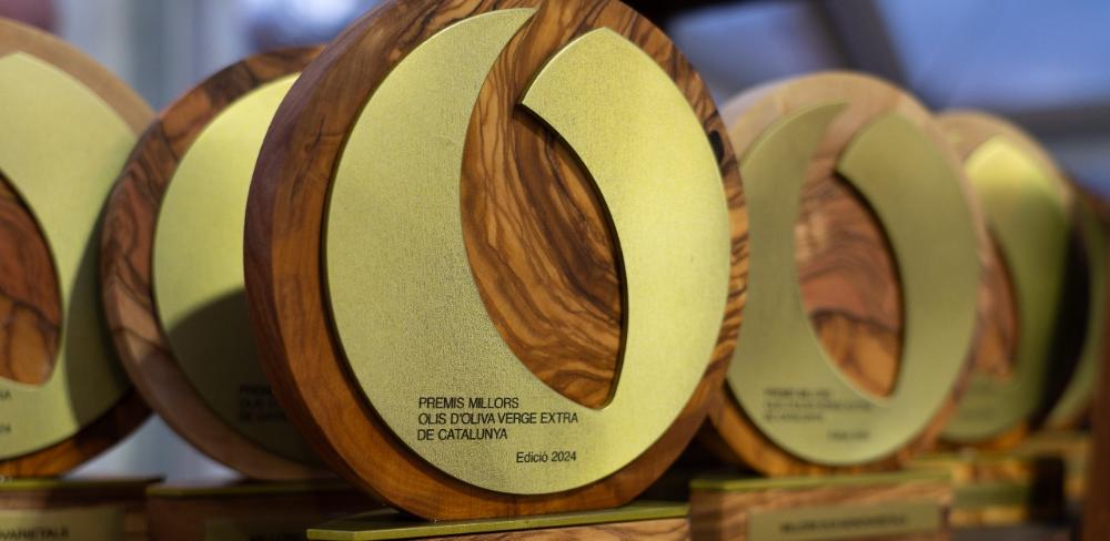 Guardons de l'edició passada del 2024