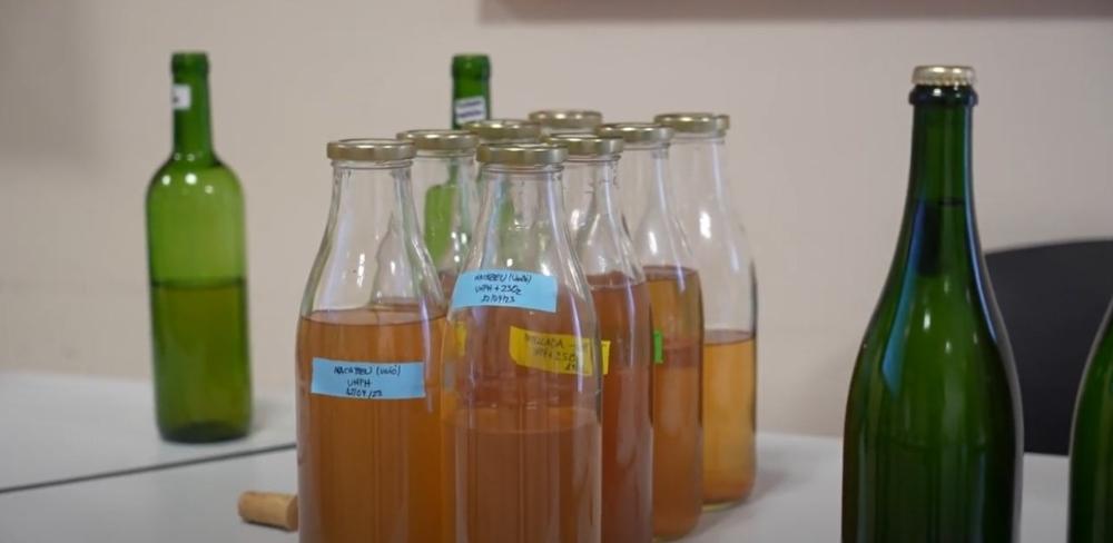 Projecte pilot innovador del Grup Operatiu 