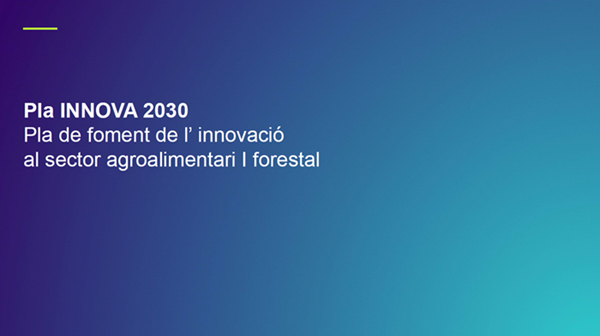 Pla INNOVA 2030