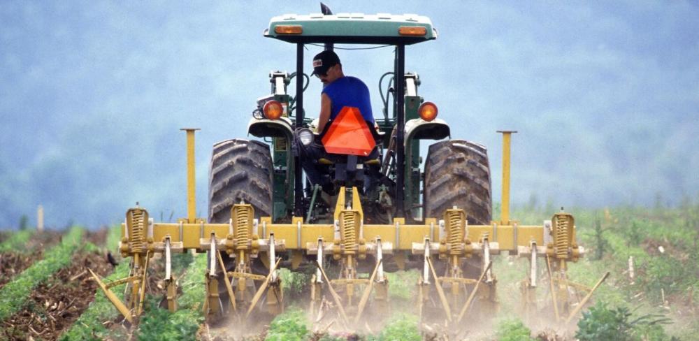 Els participants realitzen estades formatives de 5 a 14 dies