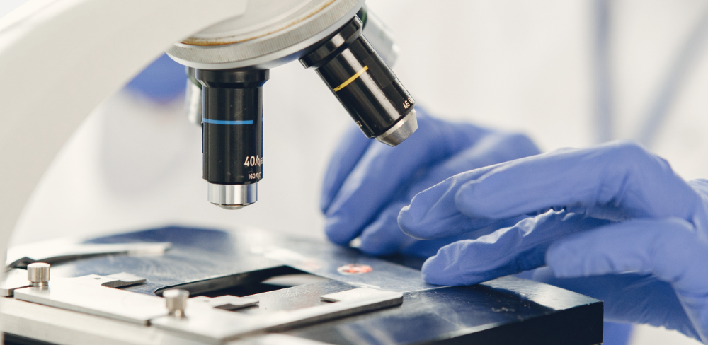 La recerca aplicada en biofertilitzants permet transformar residus orgànics en nutrients de qualitat per als cultius, reduint la dependència dels fertilitzants importats