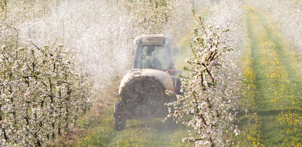 La inspecció s’ha de renovar cada 3 anys.
