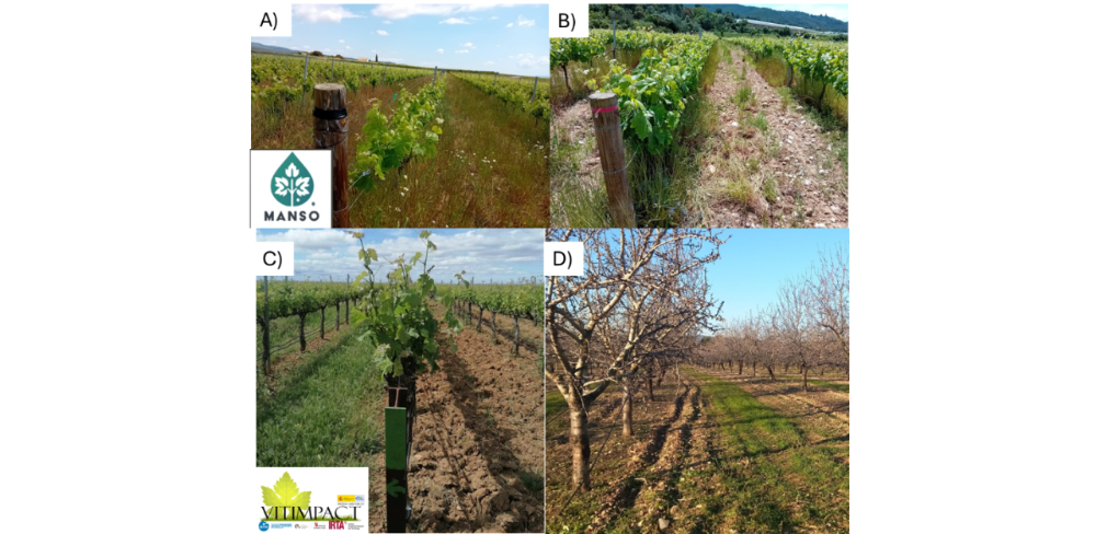 Parcel·les experimentals incloses en els projectes MANSO (A i B), VITIMPACT (C) i Regenalmond (D).