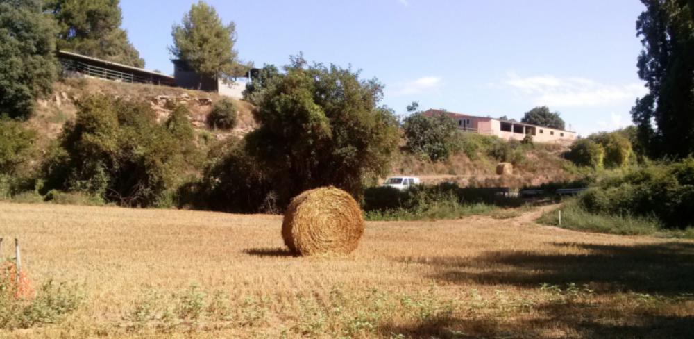 Ha estat informació pública durant un mes.