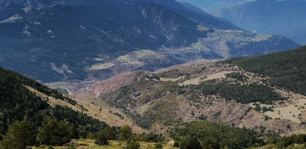 Vall de Siarb. Foto: Núria Aquilué (CTFC).