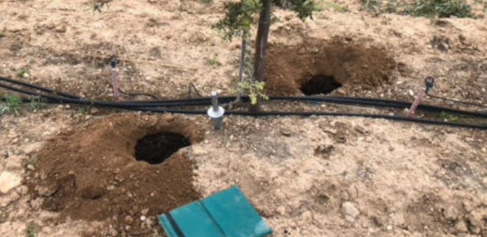 Nius de torba realitzats durant la primavera a la parcel·la experimental per a la producció de tòfona de Maials (Autoria:Daniel Oliach)